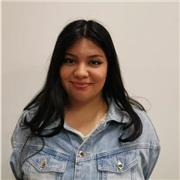 Ingenieria civil en ambiente